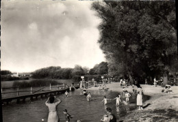 Delcampe - CPSM Dormans La Plage - Dormans