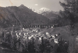 Delcampe - CAVIOLA: Panorama Dell'alta Valle Del Biois     1952 - Belluno