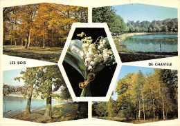 Delcampe - 92-CHAVILLE-N°1033-D/0279 - Chaville