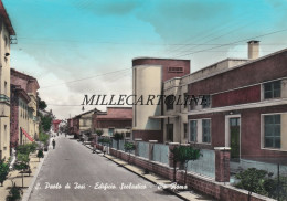 Delcampe - SAN PAOLO DI JESI:  Edificio Scolastico - Via Roma     1970 - Ancona