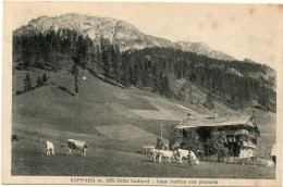 Delcampe - SAPPADA: Casa Rustica Con Praterie - Belluno