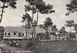 Delcampe - RONCHI:  Via Frigido Cinquale     1953 - Massa