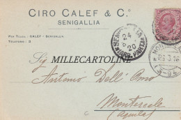 Delcampe - SENIGALLIA : Testatina - Ciro Calef & C.     1916 - Ancona