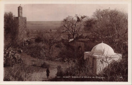 Delcampe - MAROC - Rabat - Intérieur - Source De Chellach - Minaret - Dôme - Arbres Dénudés - Animé - Carte Postale Ancienne - Rabat