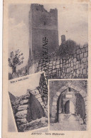 Delcampe - ARPINO: Torre Medioevale - Frosinone