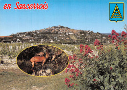 Delcampe - 18-SANCERRE-N°T1074-C/0231 - Sancerre