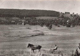 Delcampe - [-20%] FRANCE - Winkel - Vue Générale - Cheval - Charette - Animé - Carte Postale Ancienne - Altkirch