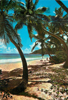 Delcampe - CPM Seychelles Mahe - Seychellen