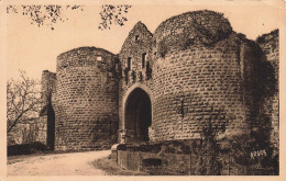 Delcampe - [-20%] FRANCE - Domme - La Porte Des Tours (XIII E Siècle) - Vue Générale - Carte Postale Ancienne - Domme