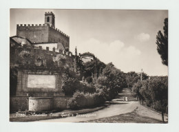 Delcampe - POPPI (AR):  CASTELLO  CONTI  GUIDI  E  PASSEGGIATA  -  FOTO  -  FG - Arezzo