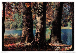 Delcampe - ARPP14-0950-ALBERT-MONIER - PARIS - LE BOIS DE BOULOGNE EN AUTOMNE - Monier