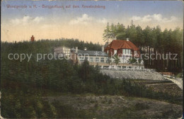 Delcampe - Wernigerode Harz Berggasthaus Auf Dem Armeleuteberg - Wernigerode