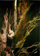 Delcampe - CPM Roussillon Le Vallespir Les Gorges De La Fou - Roussillon