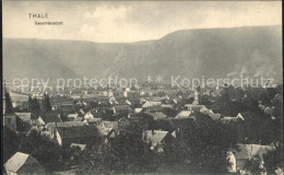 Delcampe - Thale Harz Ortsansicht - Thale