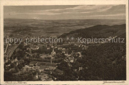 Delcampe - Thale Harz Panorama - Thale