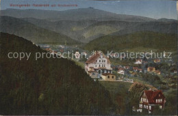 Delcampe - Hasserode Brockenblick - Wernigerode