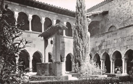 Delcampe - 83-FREJUS-N° 4402-E/0379 - Frejus