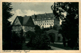 Delcampe - Schneeberg, Heilstätte - Schneeberg