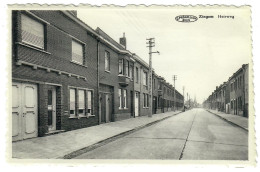 Delcampe - Zingem  Kruishoutem   Heirweg - Kruishoutem