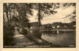 Delcampe - Bad Georgenthal I.Thür., Promenade Am Hammerteich - Georgenthal