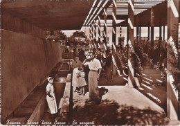 Delcampe - #FASANO-TORRE CANNE: LE SORGENTI 1954 - Brindisi