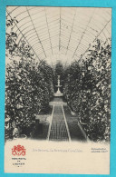 Delcampe - * Laken - Laeken (Brussel - Bruxelles) * (Vanderauwera & Cie) Parc Royal De Laeken, Les Serres, La Serre Aux Camélias - Laeken