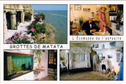 Delcampe - 1 AK Frankreich *   Meschers - Grottes De Matata - L'Écomusée De L'Estuaire, De La Préhistoire A Nos Jours * - Meschers