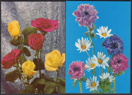 Delcampe - Lot 2 Cartes Fleurs - Blumen