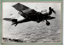 Delcampe - CPSM - Thème: AVIATION, Avion, U.S. Grumann HELLECAT F 6 F, Chasseur Destiné à L'aviation Embarquée - 1942 - Flieger