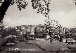 Delcampe - #GALLESE: PANORAMA PARZIALE - Viterbo