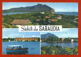 Delcampe - SABAUDIA LATINA, SALUTI DA, CON 3 VEDUTE, 1966        M - Latina