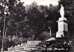 Delcampe - #MAIOLATI SPONTINI: COLLE CELESTE- MADONNINA - Ancona