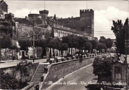 Delcampe - #MONTALTO DI CASTRO: VIA AURELIA E VIALE GARIBALDI - Viterbo