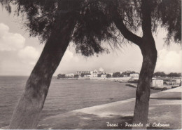 Delcampe - #TRANI: PENISOLA DI COLONNA - Bari