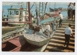 Delcampe - VILA REAL DE SANTO ANTÓNIO - Chegada Da Sardinha  (2 Scans) - Faro