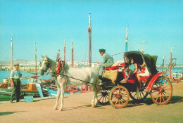 Delcampe - VILA REAL DE SANTO ANTÓNIO - Carrinha Típica  (2 Scans) - Faro