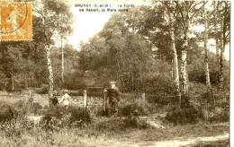 Delcampe - E529 - Brunoy (91 - Essonne) - La Forêt De Sénart, La Mare Noire - Brunoy