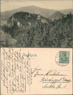 Delcampe - Ansichtskarte Oybin Hochwald V. Ameisenberg. 1906 - Oybin