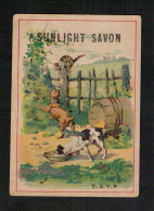 Delcampe - Chromo Ancien -Chiens - SUNLIGHT SAVON - Autres & Non Classés