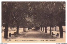 Delcampe - ATJP1-0027-89 - BRIENON-sur-ARMANCON - La Promenade - Brienon Sur Armancon