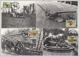 Delcampe - Jersey 1975 Farming  Set 4 Maxicards - Jersey