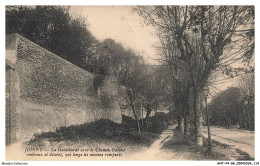 Delcampe - ANTP4-0323-89 - JOIGNY - La Guimbarde Avec Le Chemin Galant Ombreux Et Discret, Qui Longe Les Anciens Remparts - Joigny