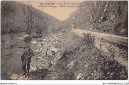 Delcampe - AASP5-0373 - AVALLON - Vallee Du COUSIN - Avallon