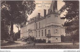 Delcampe - AASP2-0057 - BRIENON-SUR-ARMANCON - Chateau Vu Du Parc - Brienon Sur Armancon