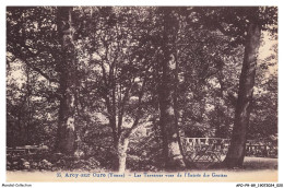 Delcampe - APOP9-0579-89 - ARCY-SUR-CURE - Les Terrasses De L'entrée Des Grottes - Avallon