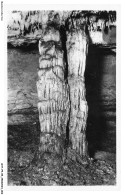 Delcampe - ANTP5-0380-89 - ARCY-SUR-CURE - Grottes - Le Pilier Double - Avallon