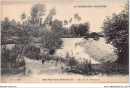 Delcampe - AASP1-0018 - BRIENON-SUR-ARMANCON - Un Coin De L'armancon - Brienon Sur Armancon