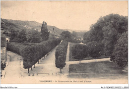 Delcampe - AASP10-0925 - TONNERRE - La Promenade Du Patis A Vol D'oiseau - Tonnerre