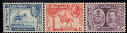 Delcampe - IRAQ(1949) UPU 75th Anniversary. MNH Set Of 3. Scott Nos 130-2. - Irak