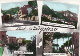 Delcampe - #SUPINO: SALUTI DA - Frosinone